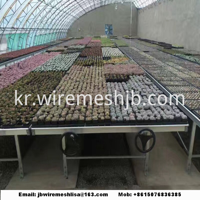 Galvanized Welded Wire Mesh Greenhouse Rolling Benches